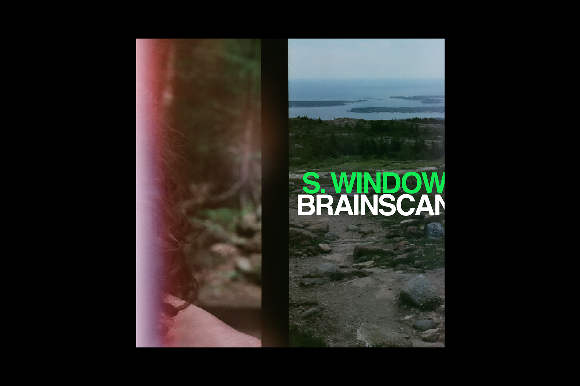 S.Window_BrainScan_Art